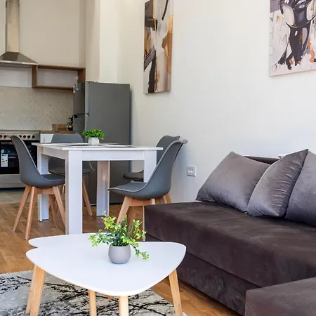 Apartment Art Apartments-free Parking-city Center